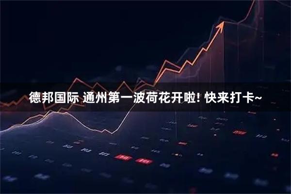 德邦国际 通州第一波荷花开啦! 快来打卡~