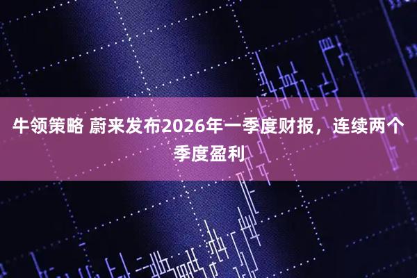 牛领策略 蔚来发布2026年一季度财报，连续两个季度盈利
